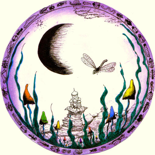 Elfwing High Vibrational Portal